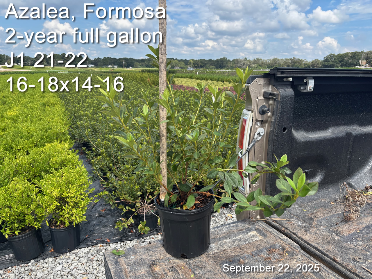 gallery/form2yf j1.21 sept22.jpg